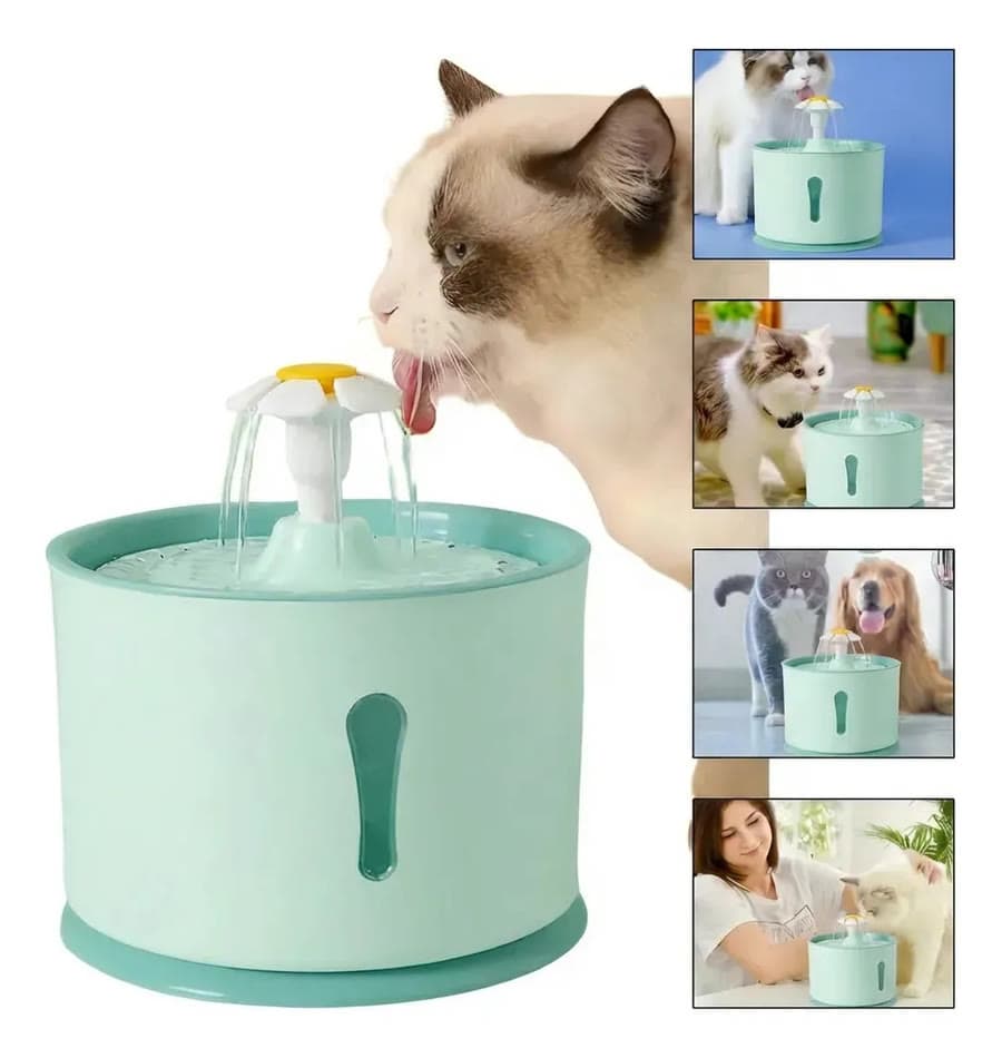 Bebedouro Fonte Gato Cão Filtragem Purificação Pet Automatic 2,4L Verde